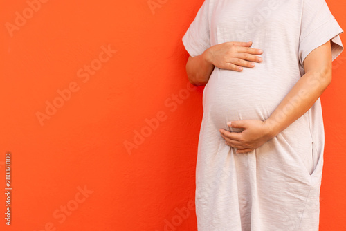 Pregnant woman feeling happy at home while taking care of her child. The young expecting mother holding baby in pregnant belly. Maternity prenatal care and woman pregnancy concept. photo