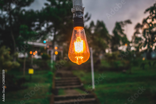 vintage light in the garden