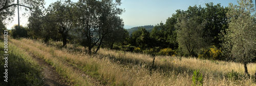 Tuscan agricultural landscape, Florentine region of Montespertoli photo