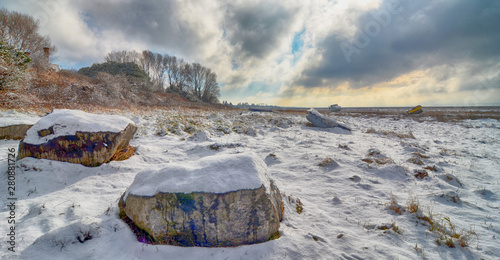 Snowscape shoreline and trees