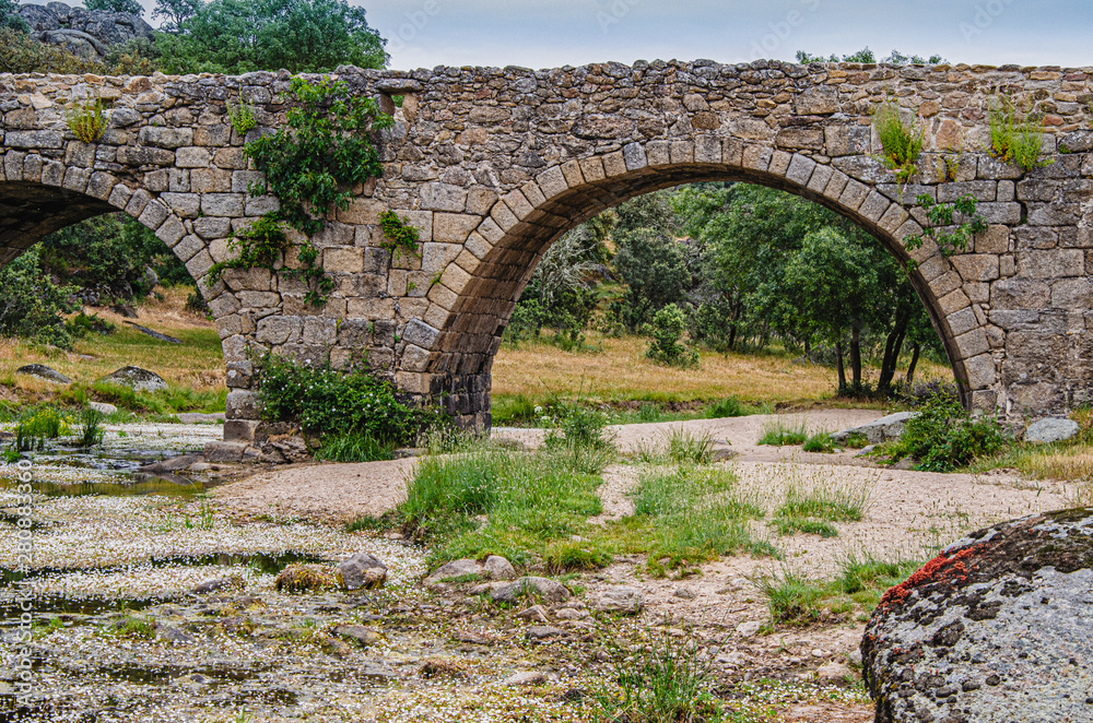 Old medieval bridge with five arches. Ledesma Salamanca Spain
