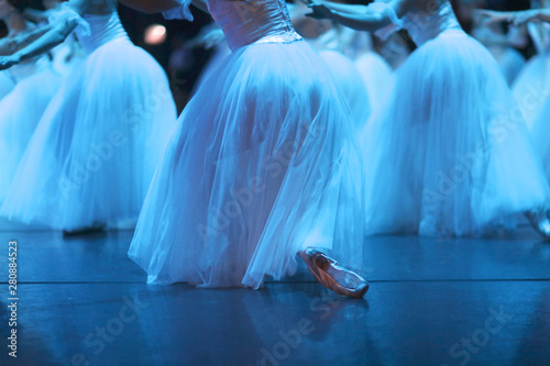 Corps de ballet performance in classic costumes at the time of curtsy Fototapet