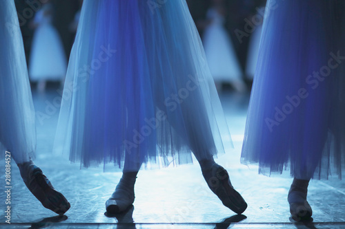The legs of the corps de ballet dancers in a dance position in the rehearsal hall of the theater