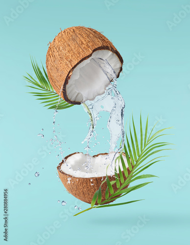 Obraz na plátně Flying in air fresh ripe whole and cracked coconut with palm leave