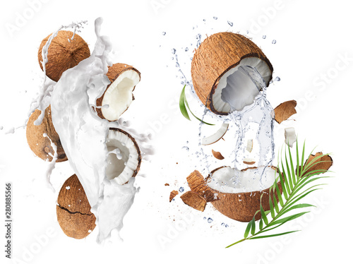 Creative Collection set with Flying in air fresh ripe whole and cracked coconut with milk splashes photo