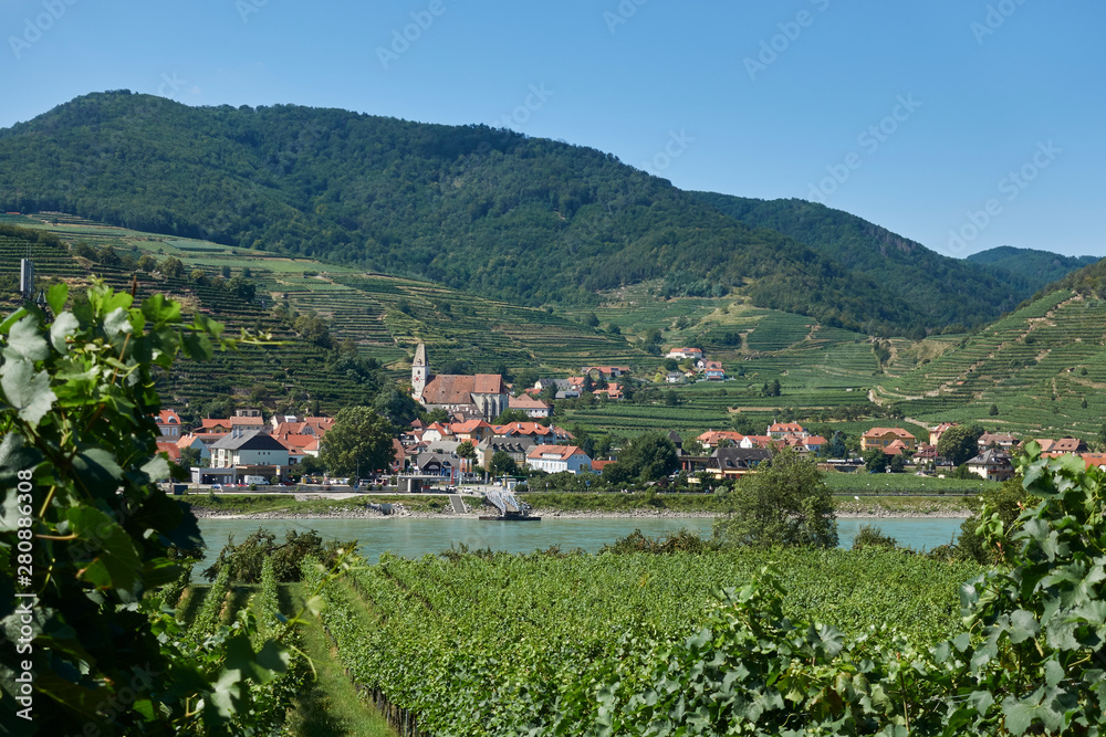 The village Spitz on the Danube with vineyards and the Danube in the foreground