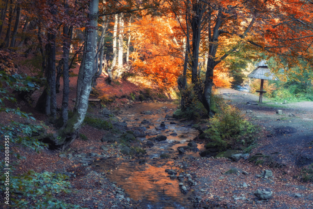 Small river in a forest on a autumnal day