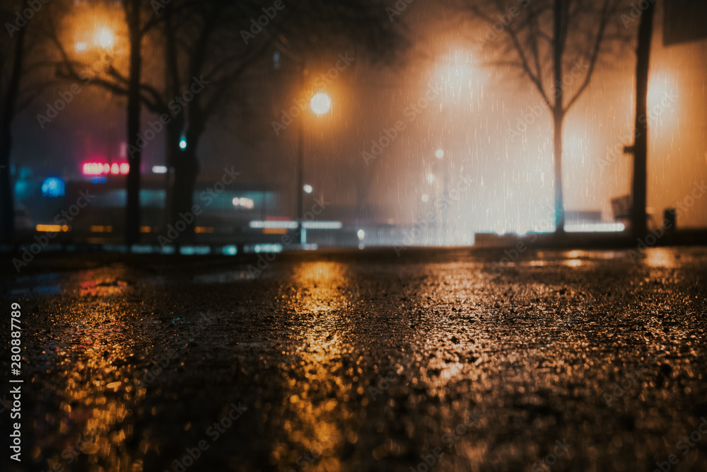 Foggy and rainy night in a city park