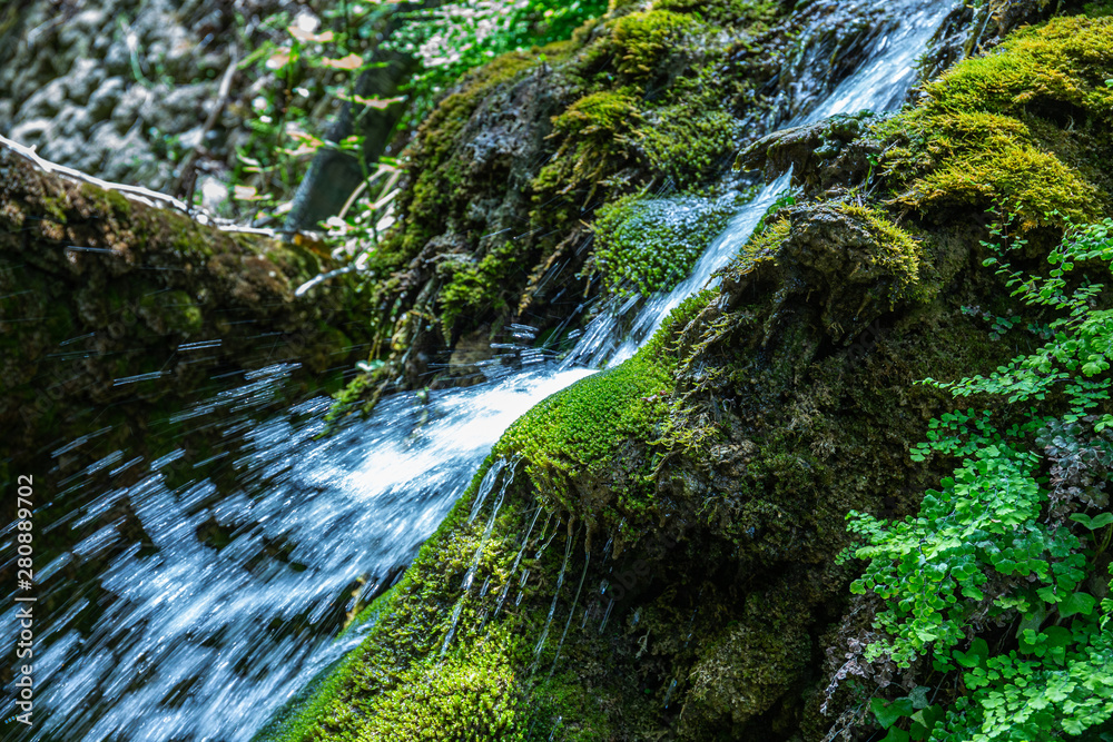 waterfall in an abandoned garden waterfall in an abandoned garden