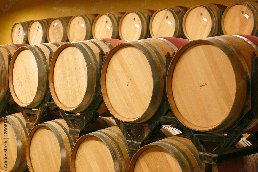 Barrels of wine in cellar. Spain, Europe.