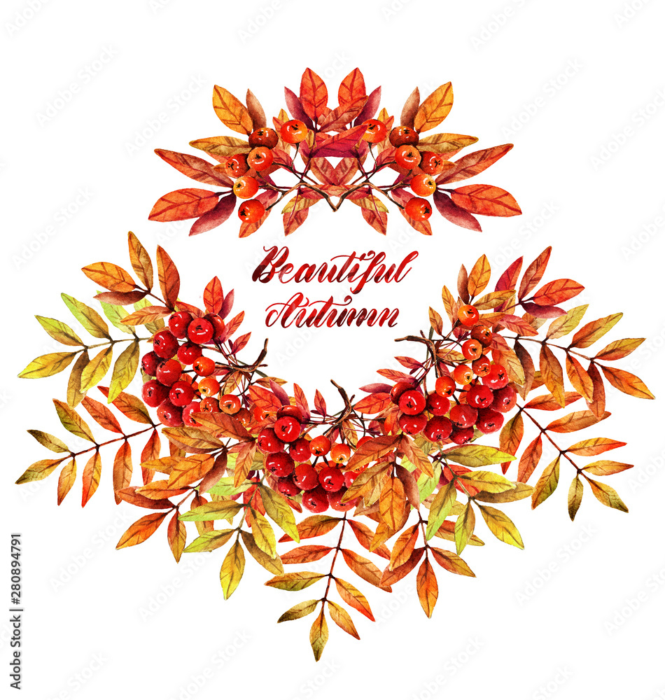 Obraz premium Watercolor illustration. Beautiful autumn, branch of mountain ash. Postcard for you set. handmade. Background white