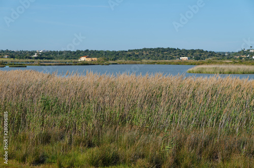 Lagoa dos Salgados in Albufeira  Portugal. Natural reserve and tourist attraction for birdwatching