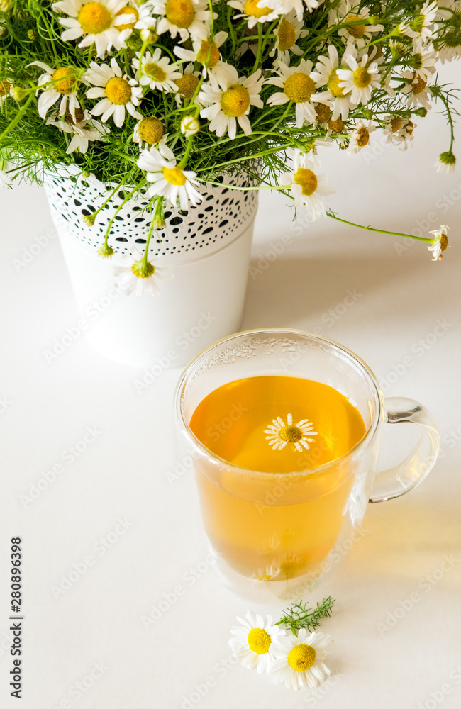 Herbal tea with fresh chamomile flowers on light background Herbal tea with fresh chamomile flowers on light background