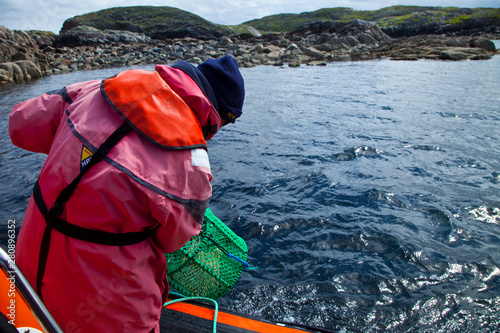 Pescando langostas y cangrejos con nasas. Great Bernera. Lewis island. Outer Hebrides. Scotland, UK photo