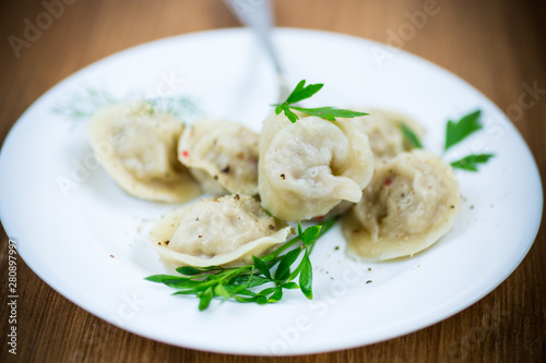 boiled dumplings with meat and spices in a plate