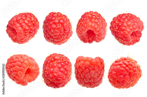 Raspberry r. idaeus fruits, paths