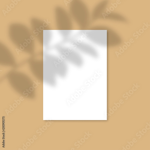 Vertical A4 Paper Mockup with realistic shadows overlays leaf. Vector Shadow Of A Tropical Plant. Template Flyer, Poster, blank