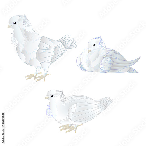 Ornamental white doves cute small birds set   on a white background  vintage vector illustration editable Hand draw