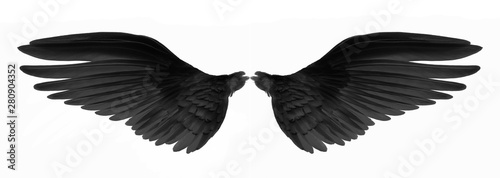 black wings of bird on black background