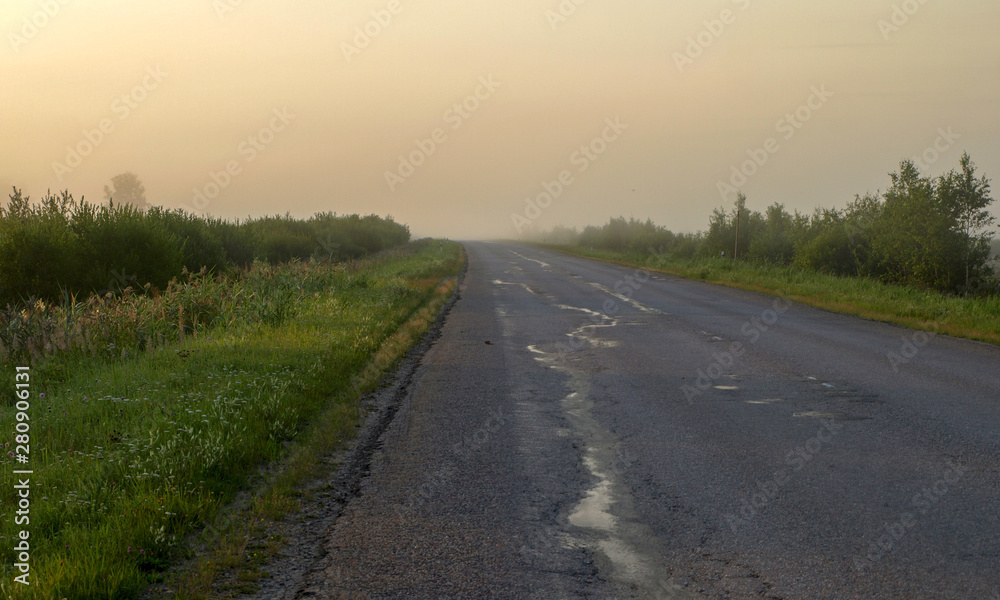 rural landscape in the morning mist, empty road, mysteriously faded trees along the roadside