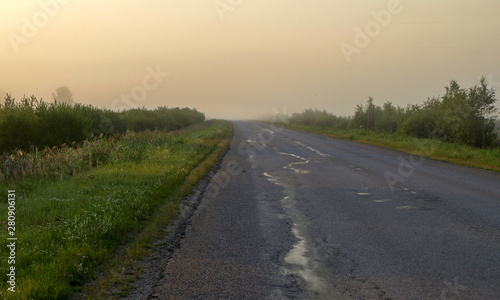 rural landscape in the morning mist, empty road, mysteriously faded trees along the roadside