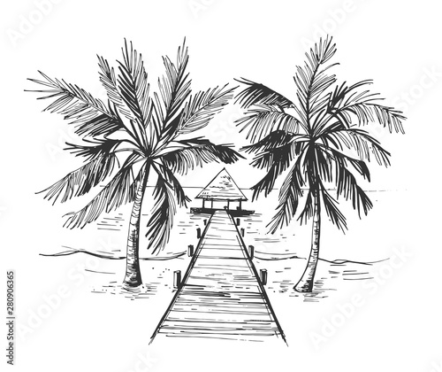 Sketch of a tropical beach with palm trees and the sea. Hand drawn illistration converted to vector