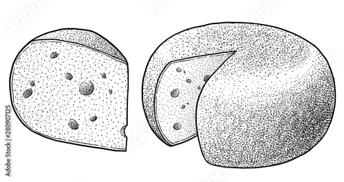 Gouda cheese illsustration, drawing, engraving, ink, line art, vector