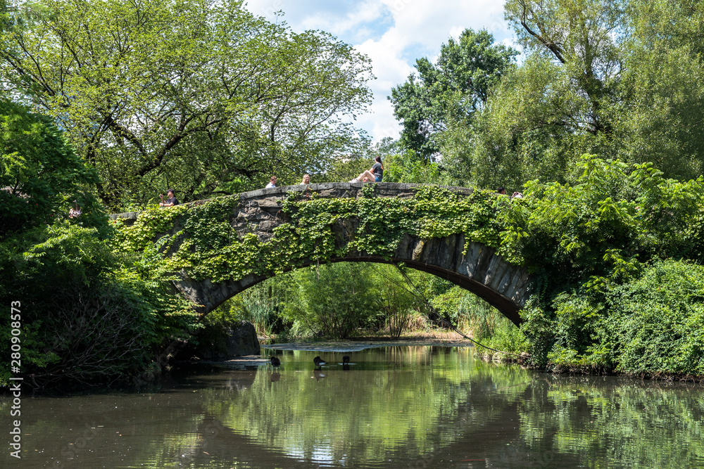 Fototapeta premium POnte