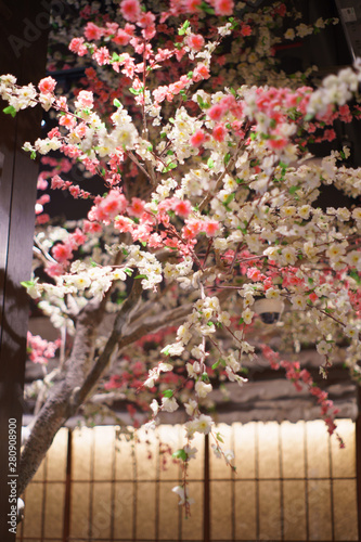 Fototapeta Naklejka Na Ścianę i Meble -  beautiful classic vintage branch of cherry blossoms, sakura flower background