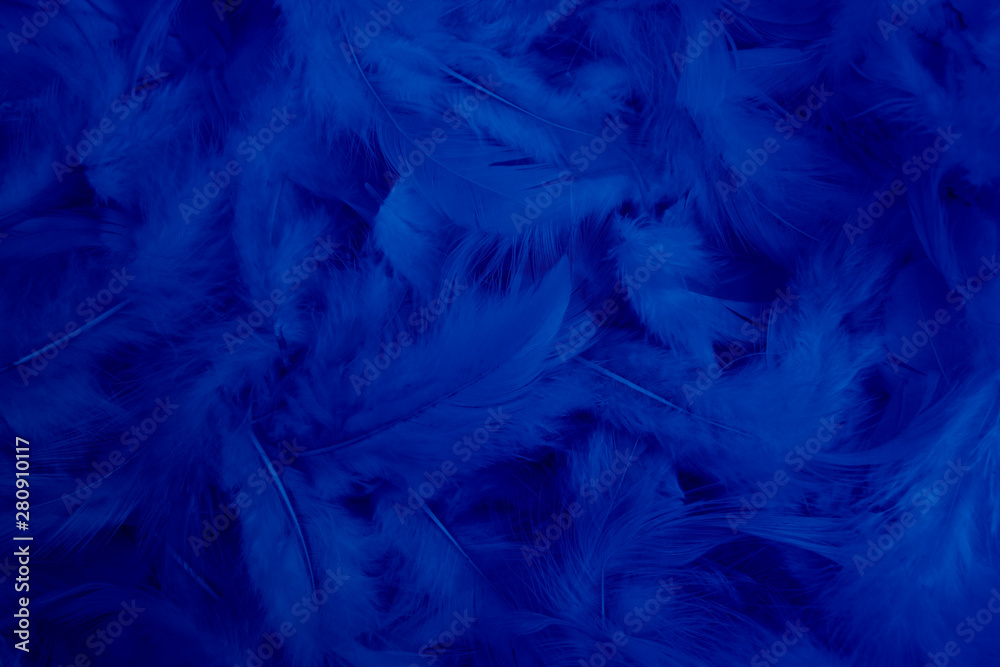 dark blue feather background dark blue feather background