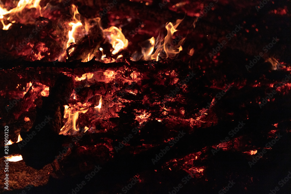 Camp Fire Christmas in July Tree Burning Camp Fire Christmas in July Tree Burning