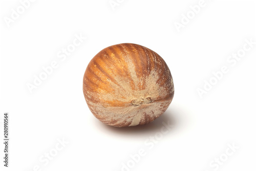 Hazelnut. Fresh organic filbert isolated on white background. Nut macro. Collection.