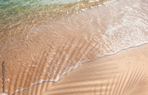 Selective focus of summer and holiday backgrounds concepts with shadow of coconut leaf on clean sand beach photo