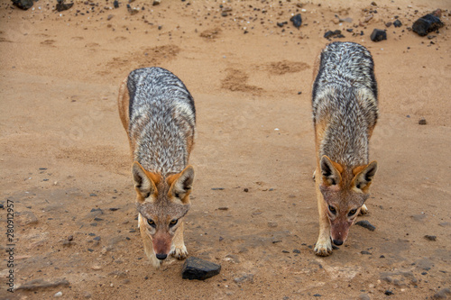 durch die namib nach walvis bay