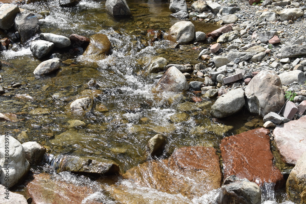 Fototapeta premium bach