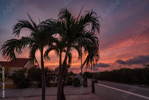 Walking the dog at sunset  Views around the Caribbean island of Curacao photo