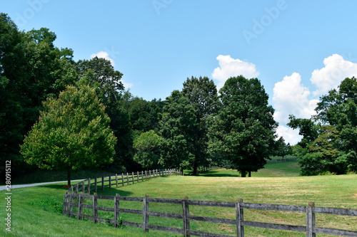 Fenced Meadow Landscape