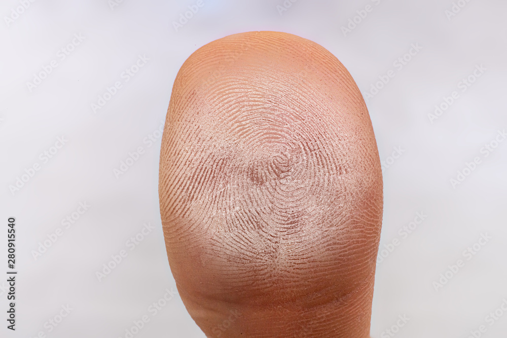 Fototapeta premium electric biometric fingerprint scan, macro shot, future technology