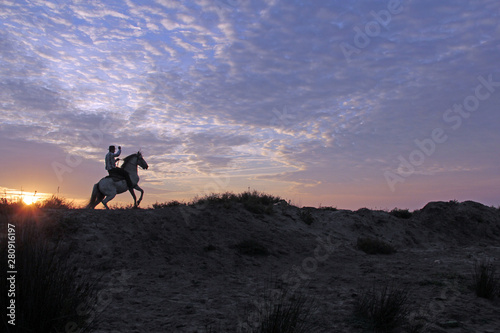 cavalier et son cheval © helenedevun