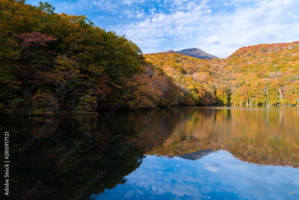 Autumn Fall Lake Japan