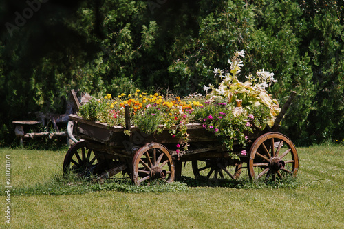 An old wooden car on a lawn with colorful flowers