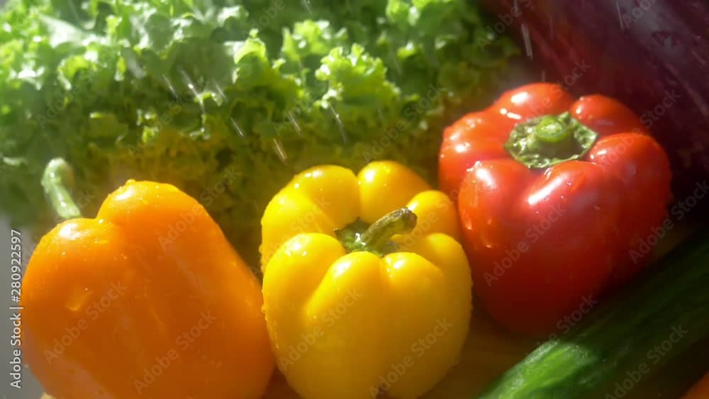 Fresh vegetables on a dark background in the studio under jets of rain. autumn harvest concept Fresh vegetables on a dark background in the studio under jets of rain. autumn harvest concept