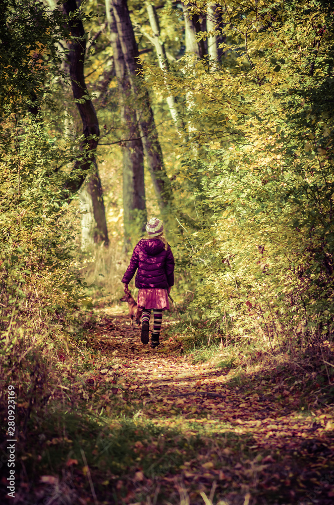 Obraz premium in scenic orange forest