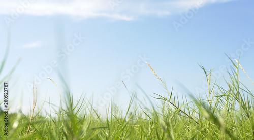 Pasture with sky