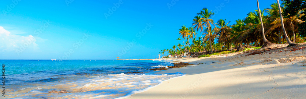 Beautiful beach with palm trees. Tropical paradise beach with white sand. Summer tropical landscape, panoramic view. Summer vacation travel holiday background concept. Caribbean beach. Palm beach