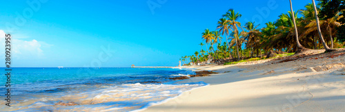 Obraz na płótnie Beautiful beach with palm trees. Tropical paradise beach with white sand. Summer tropical landscape, panoramic view. Summer vacation travel holiday background concept. Caribbean beach. Palm beach w salonie