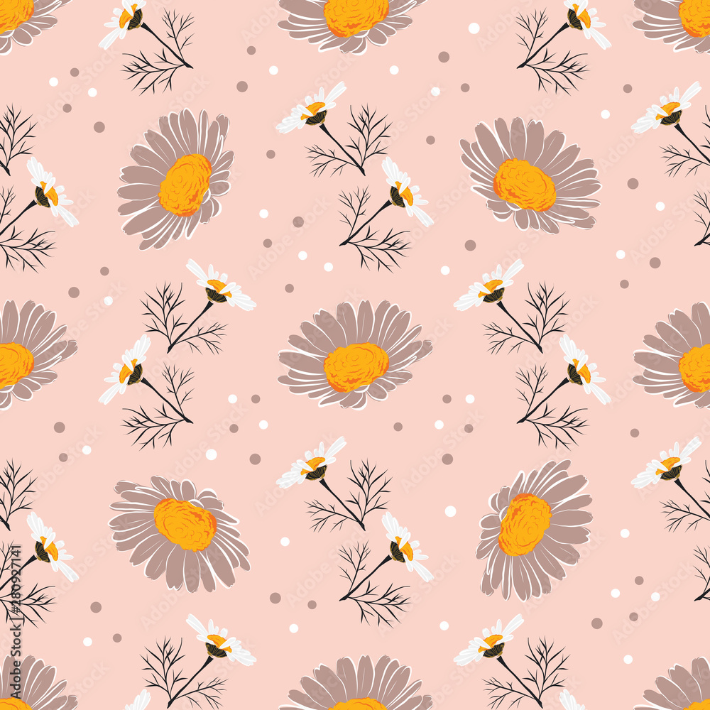 Chamomile background, Daisy seamless pattern. Flowers and leaves of daisies on a gentle pink background. Vector pattern