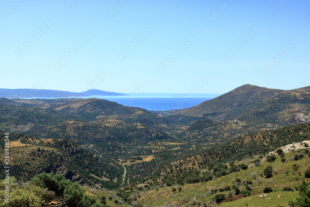 Olive plantations Crete, Greece, Europe