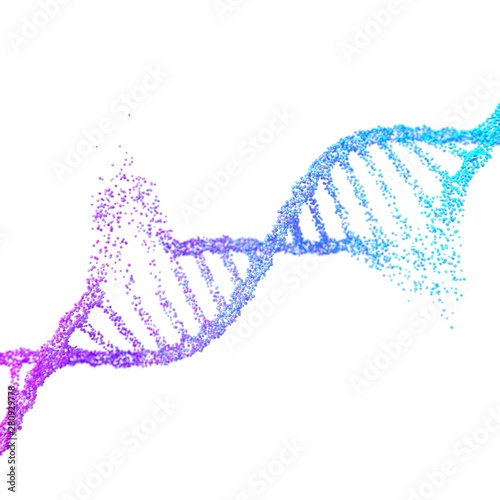 DNA helix destruction 