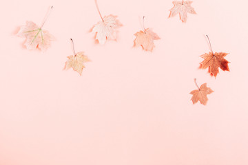 Autumn creative composition. Beautiful dried leaves on pastel pink background. Fall concept. Autumn background. Flat lay, top view, copy space